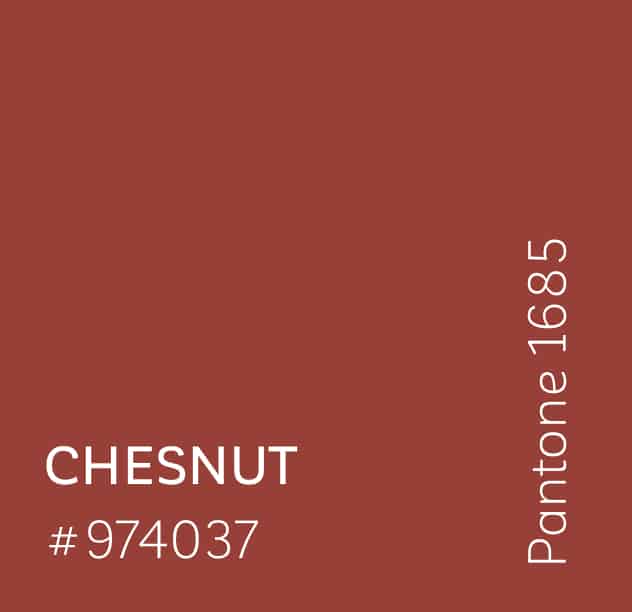 chesnut colour